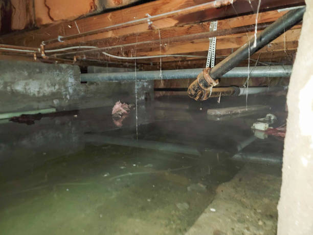Best Sewage cleanup and water damage restoration  in Toppers, OK